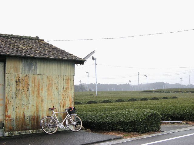 DSCN3635