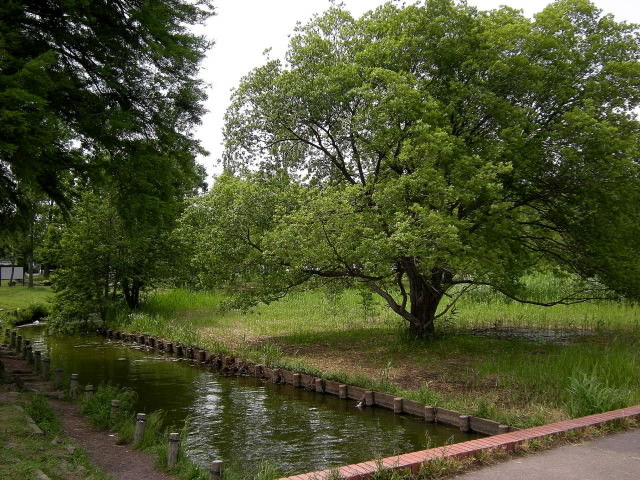 DSCN2036