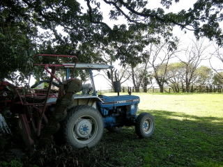 DSCN0573