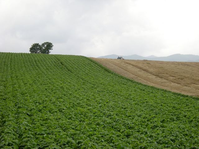 23a06391.jpg