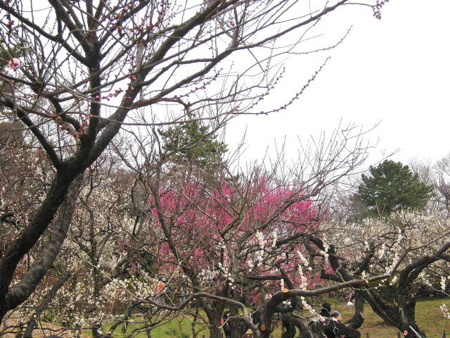 DSCN3834_001