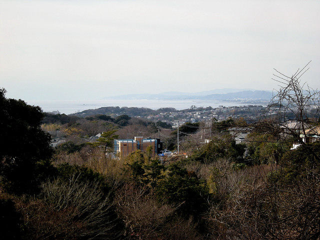 DSCN3564