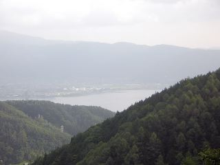 31798120.jpg