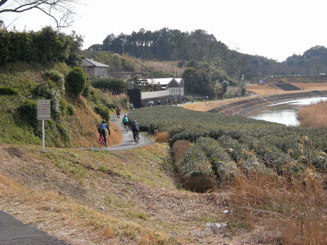 DSCN3669