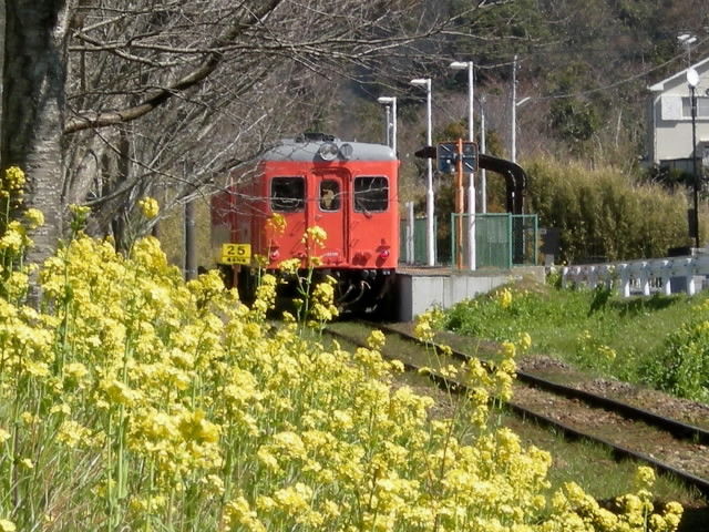 DSCN1654