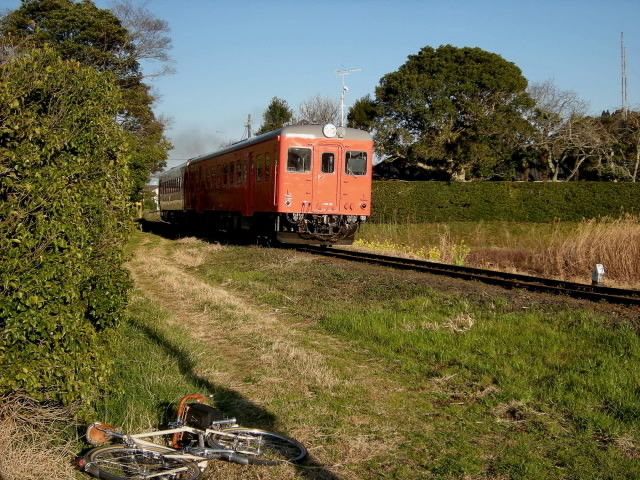 DSCN1700