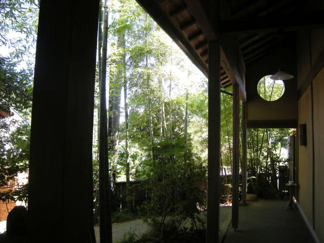 DSCN0351