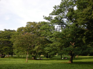 DSCN2142