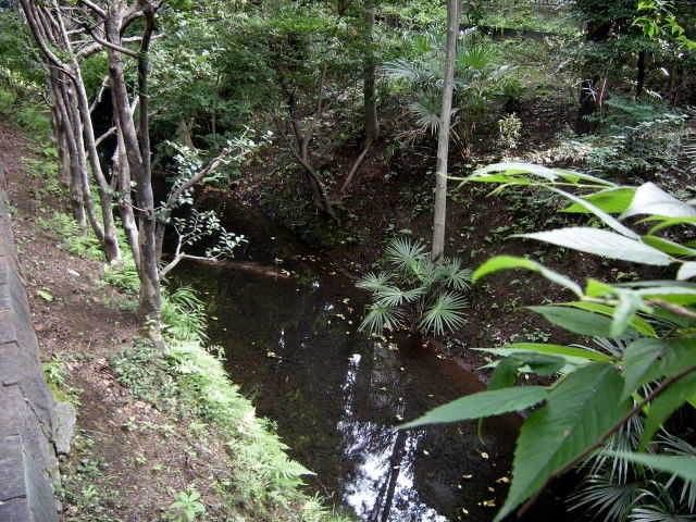 DSCN9912
