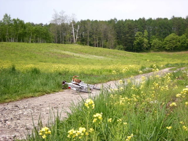 DSCN2213