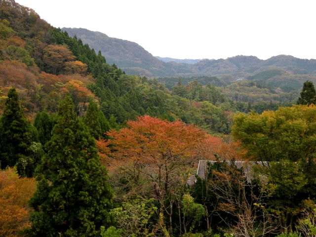 DSCN0667