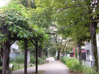 DSCN3039
