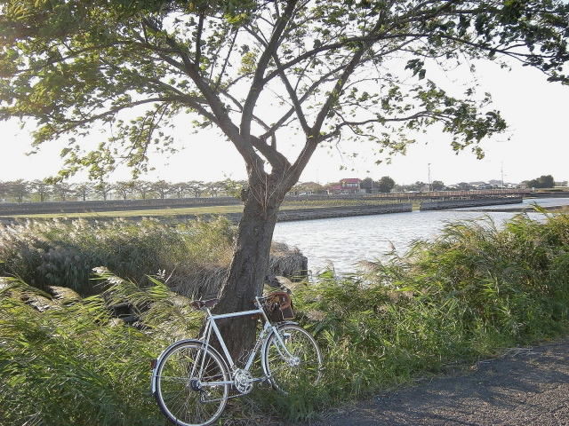 DSCN0591