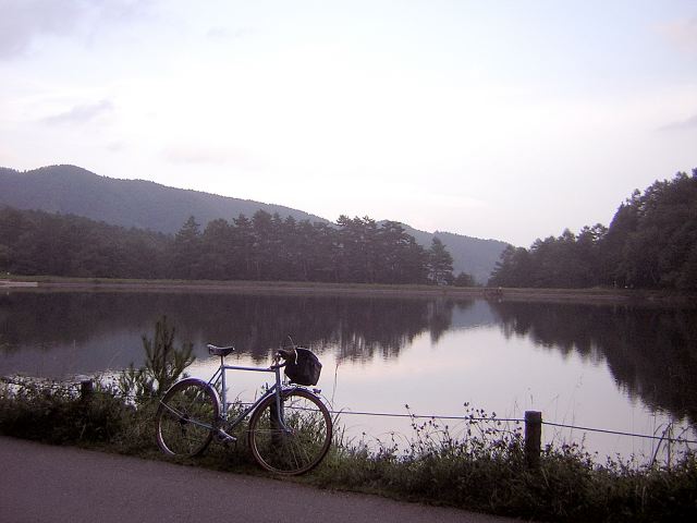 4967f8f5.jpg