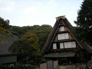 DSCN3156