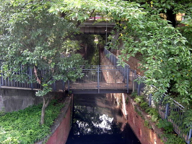 DSCN9917