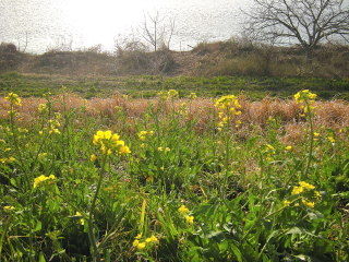 DSCN9816