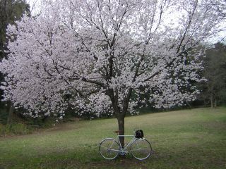 50882cc0.jpg