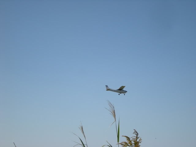 DSCN0562