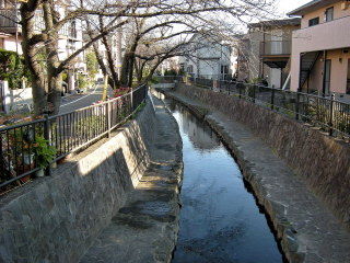 鹿島田たけうち13