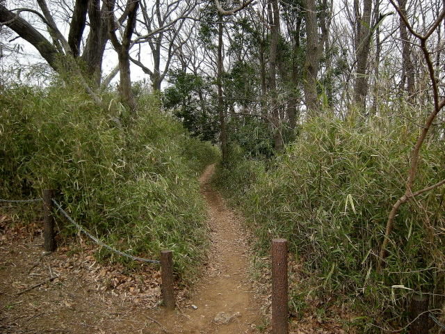 DSCN1768
