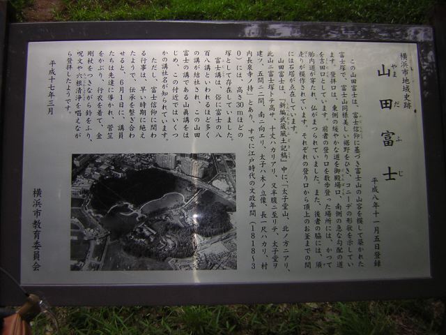 58614595.jpg