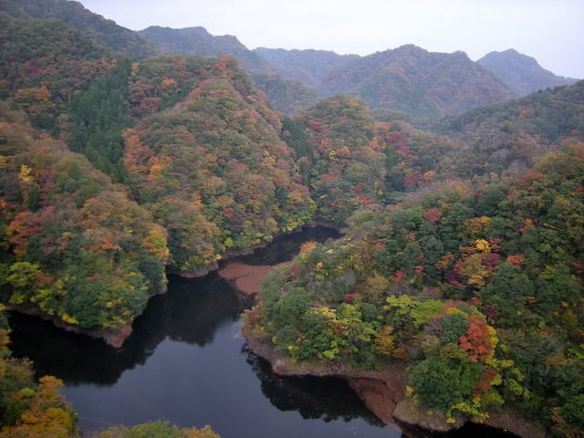 DSCN0751