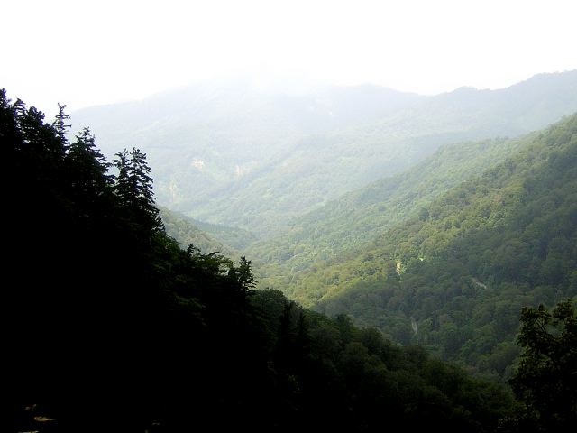 5e67a4c2.jpg