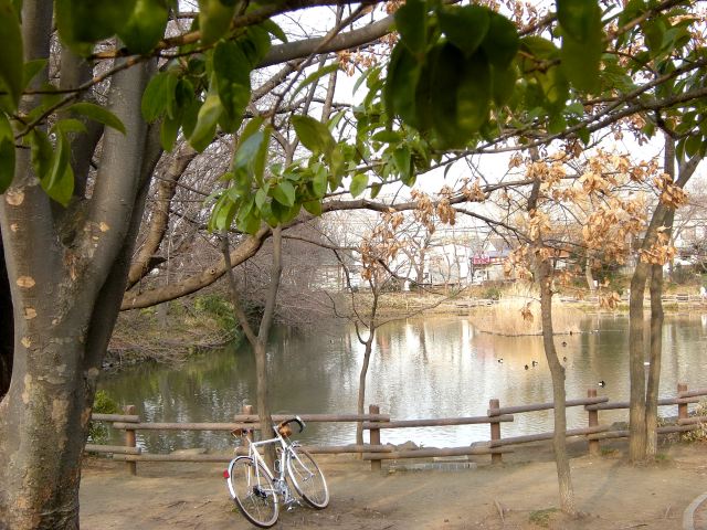 DSCN1195[2]
