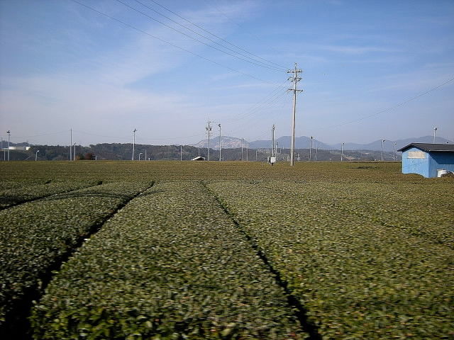 DSCN1356