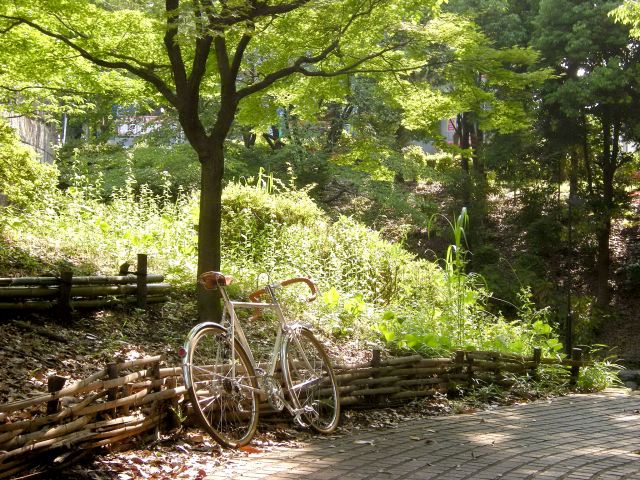 6140351a.jpg