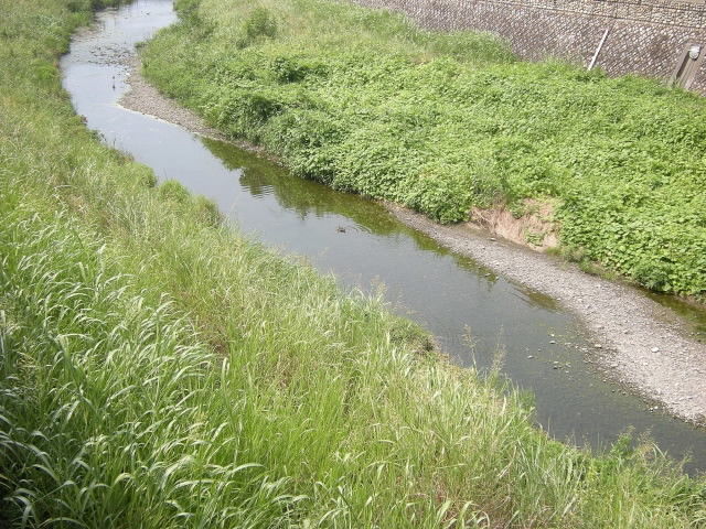 DSCN0109