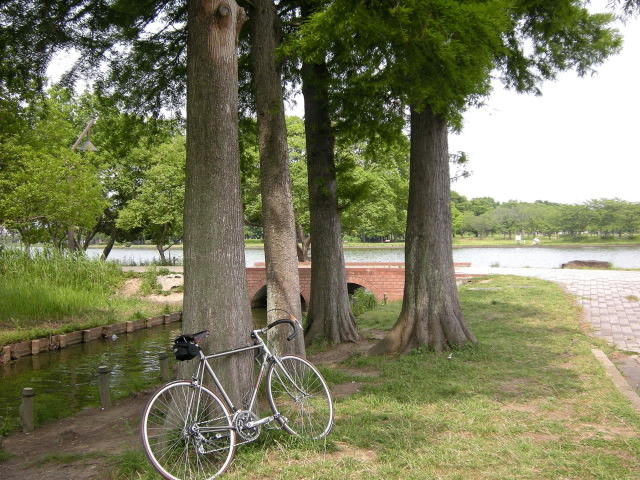 DSCN2031