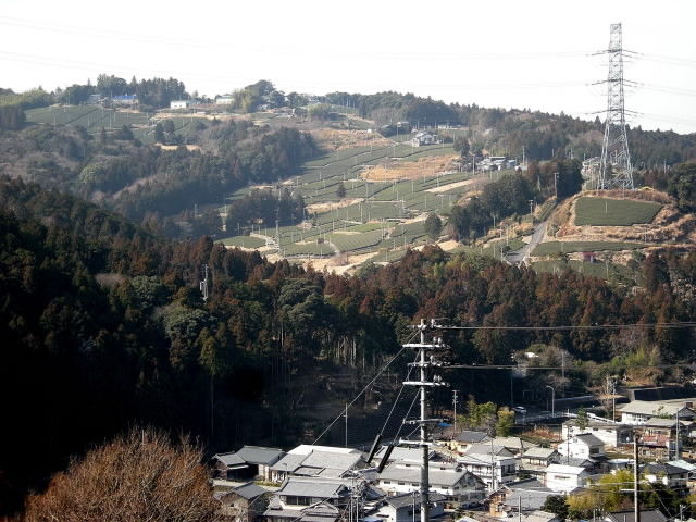 DSCN1359
