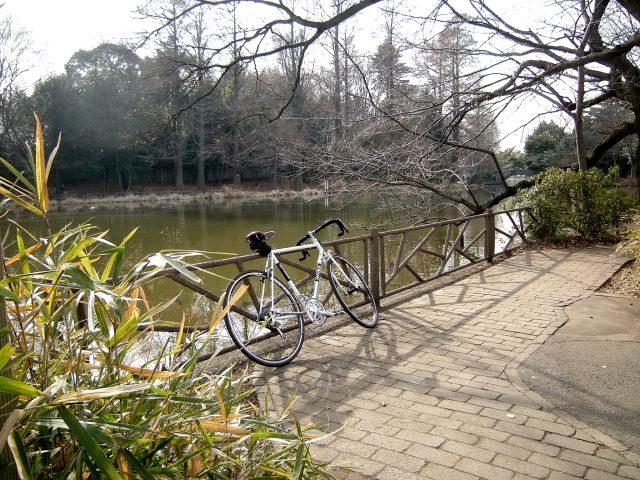 20菊谷08[1]