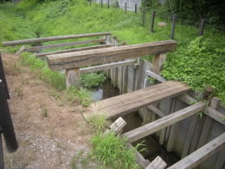 DSCN0098