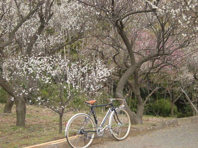 DSCN3838