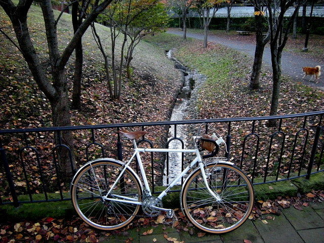 DSCN0249