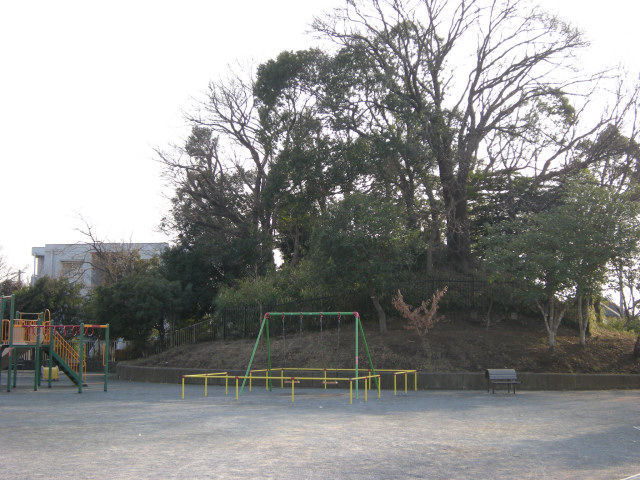 DSCN3554