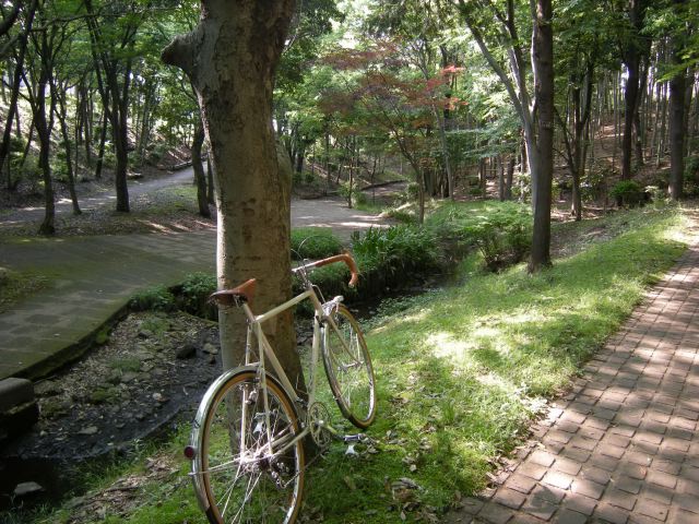 771c8f49.jpg