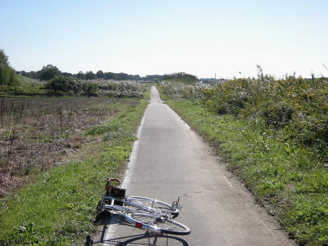 DSCN0563