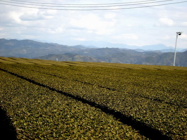 DSCN0338