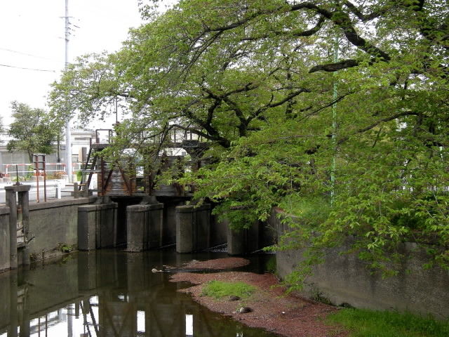 DSCN1949