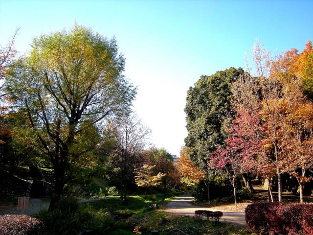DSCN0819