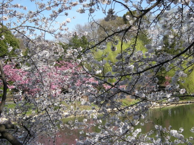 DSCN1815