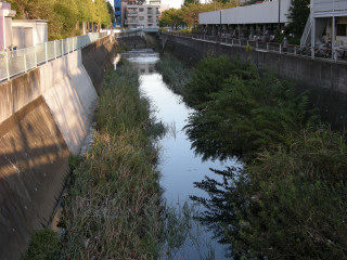 DSCN3120