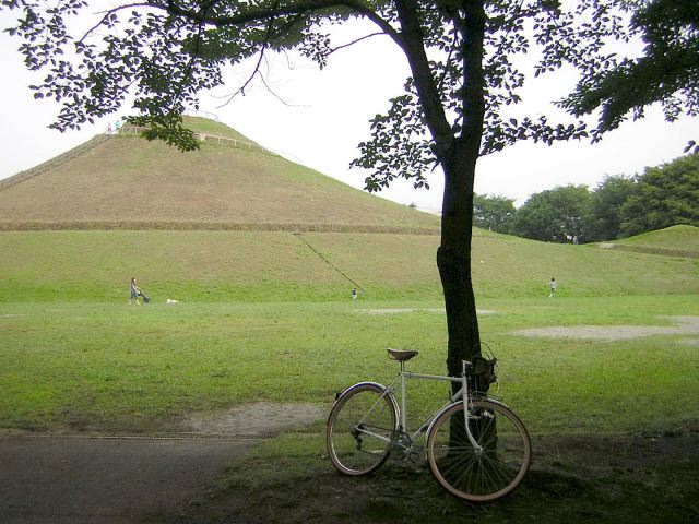 8c545098.jpg