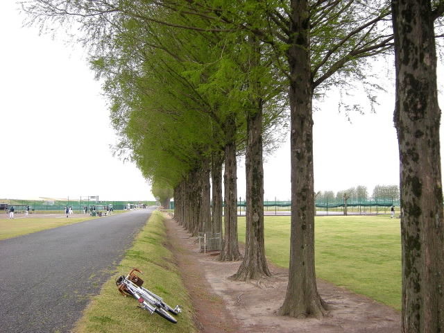 DSCN1923
