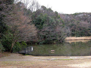DSCN3848