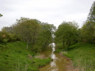 DSCN1930